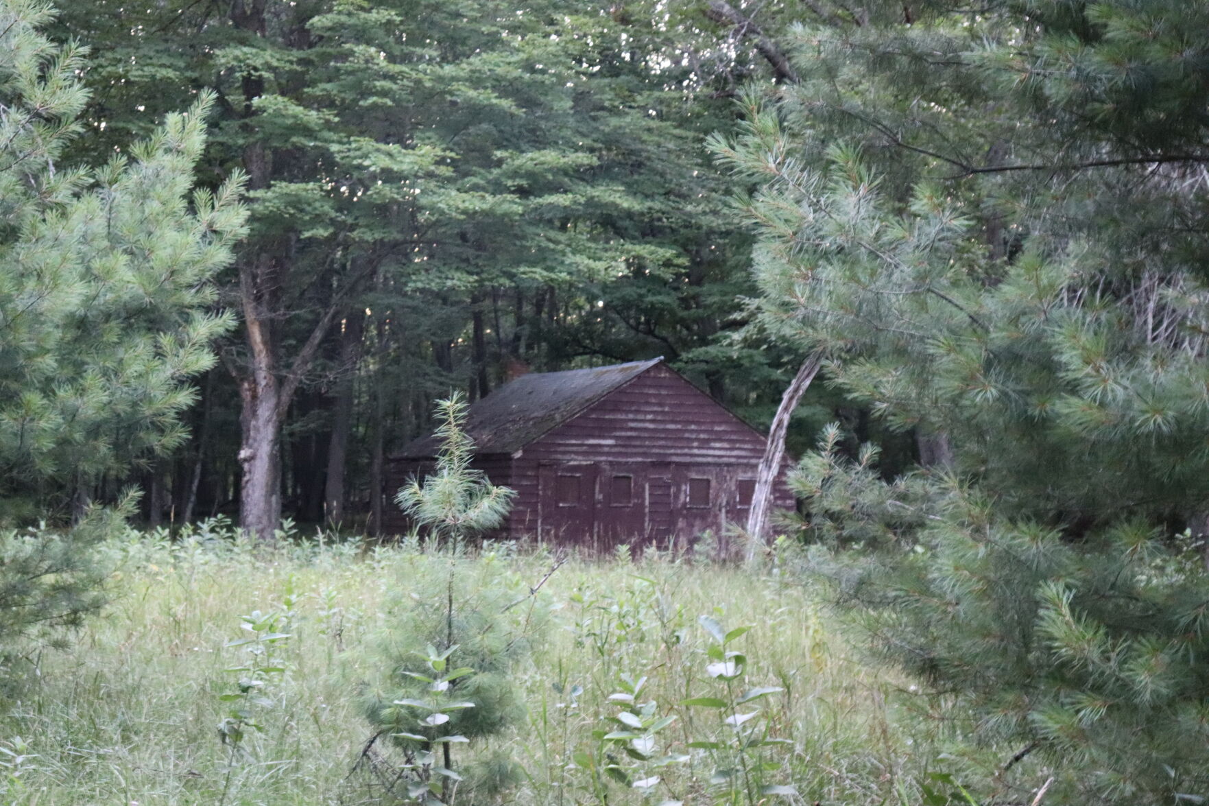 Brunet Island State Park